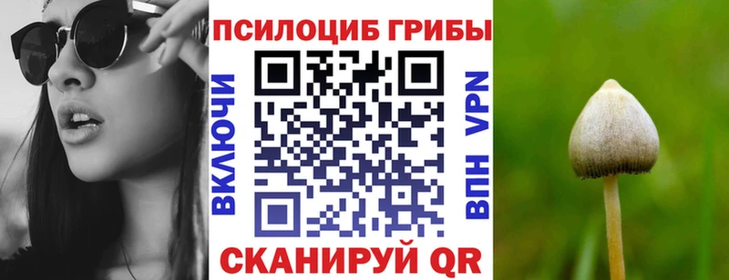 Псилоцибиновые грибы Cubensis OMG Коряжма