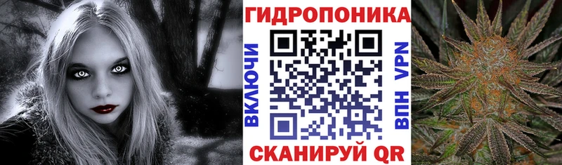 магазин    Коряжма  Каннабис Amnesia 